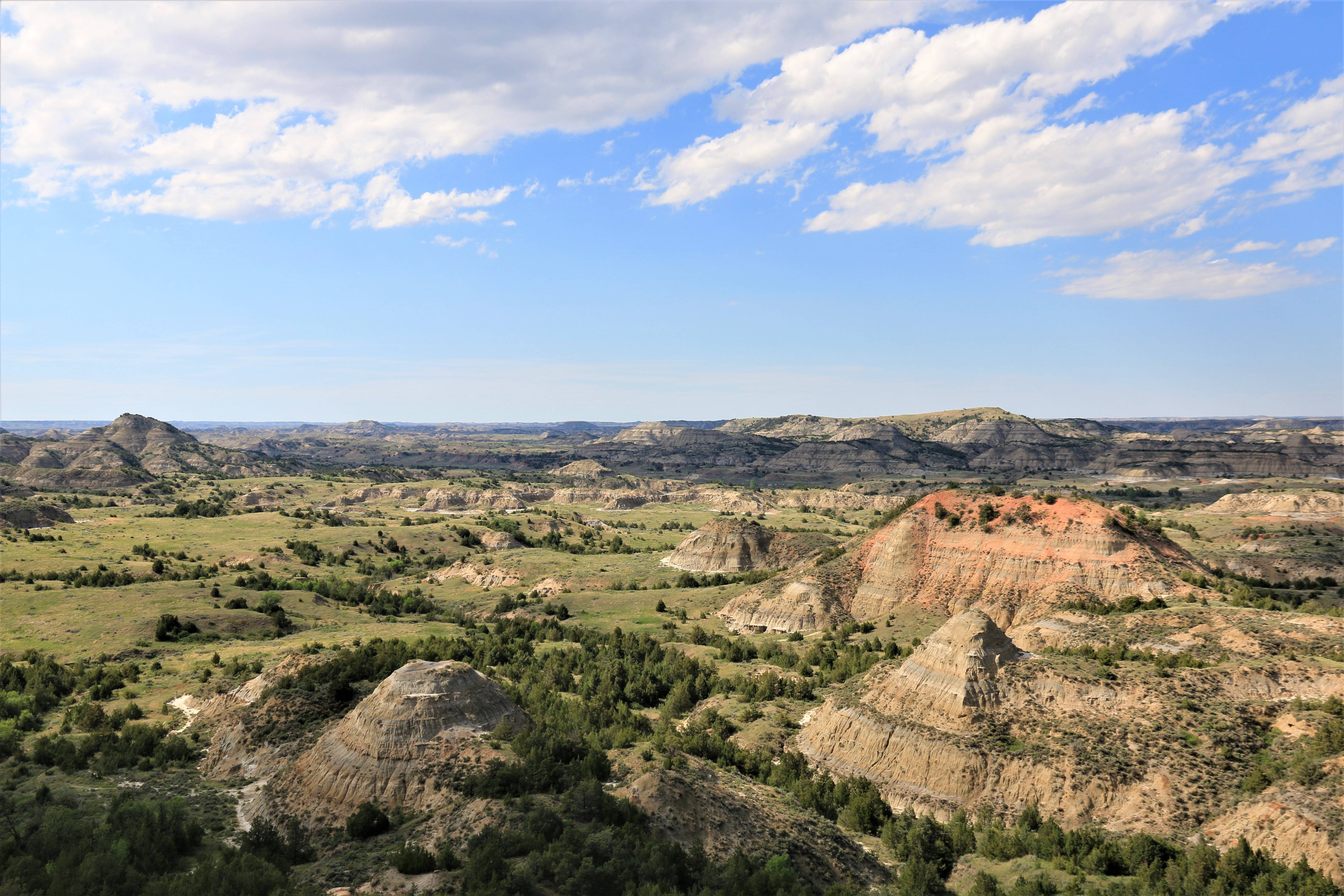 Theodore Roosevelt NP